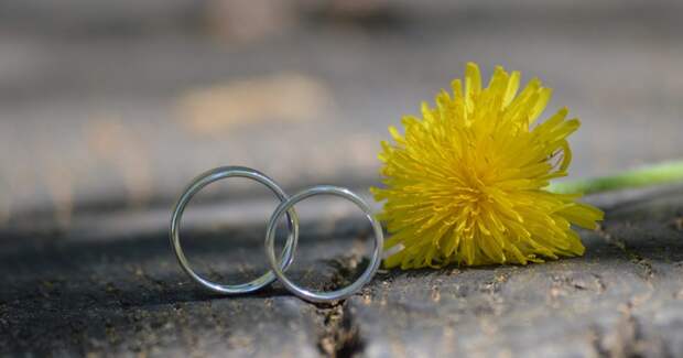 свадьба, отношения, обручальные кольца