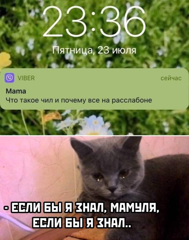 Смешные картинки 5 августа 2021 года