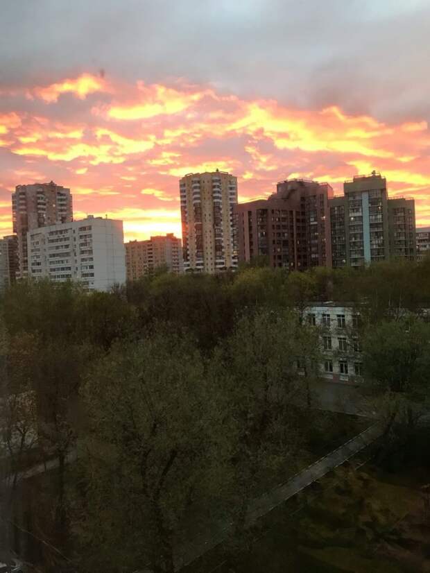 Фото: Алёна Кузнецова, Страница «Сидим дома в Тушино [Северном и Южном]» социальной сети «ВКонтакте»
