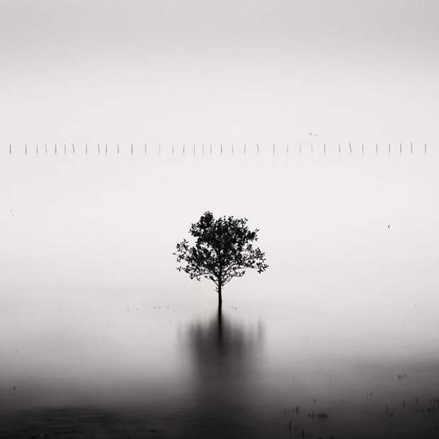 Лучшие фотографии International Photography Awards (IPA) 2007