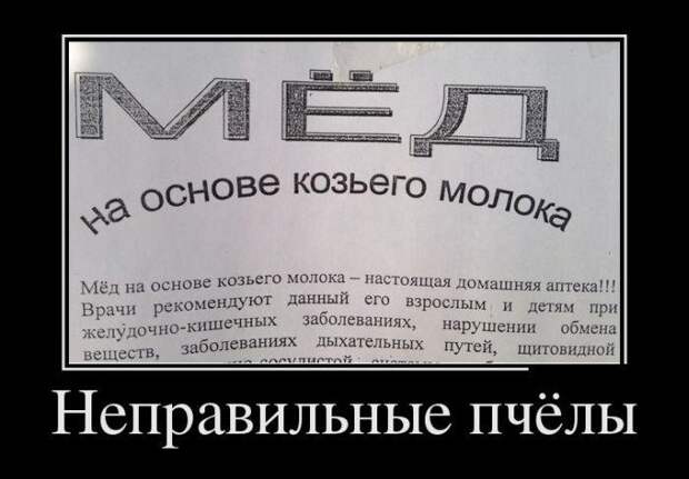 Пачка весёлых демотиваторов