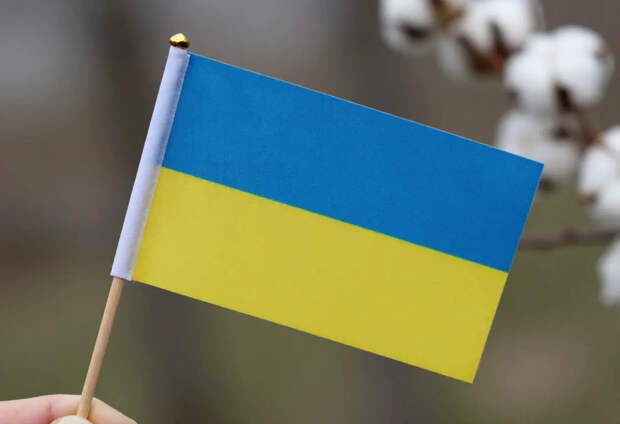 Картаполов: ЕС забудет про Украину через пару часов после завершения конфликта