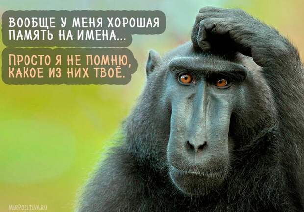 Самая веселая подборка прикольных картинок Самая веселая подборка прикольных картинок