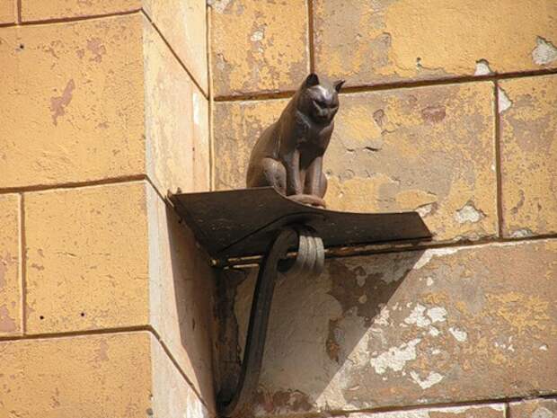 Кот, переживший блокаду Ленинграда