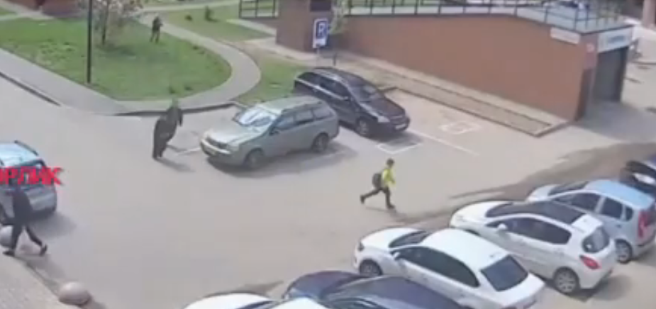 Фото: скрин видео тг-канал