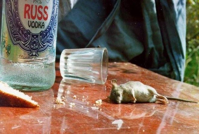 Я даже не подозревал!