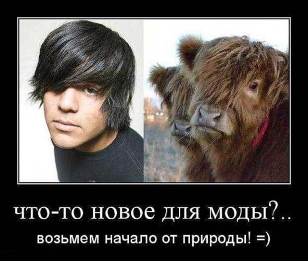 Немного новых демотиваторов