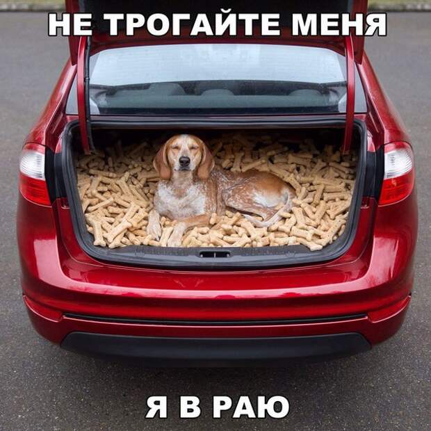 Смешная галерея фотоприколов # 133