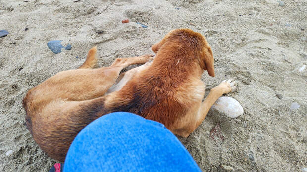 На пляже в Пицунде