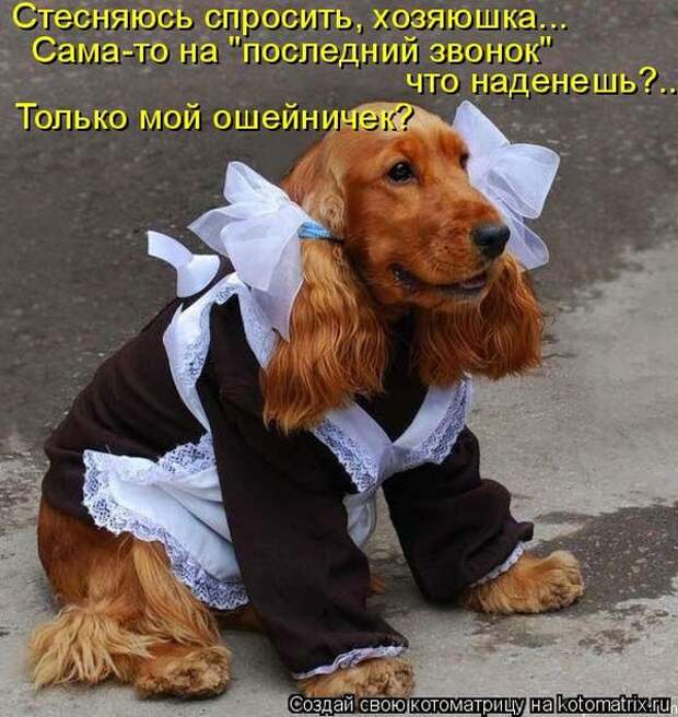 Мысли вслух :)