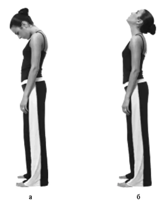 Пресс лежа. Гимнастика стрельниковой малый маятник. Качаем головой вверх вниз. Скручивания на пресс на скамье. Упражнение поднятие ног лежа на спине.