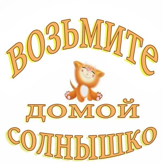 Солнечный Зайка ищет родной Дом!!!