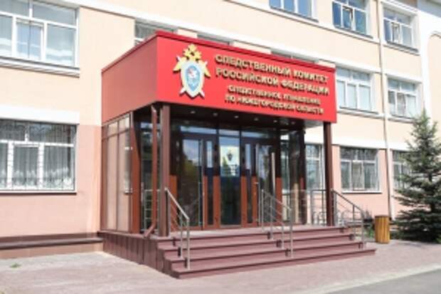 Глава ведомства поручил доложить о ходе расследования уголовного дела  по факту нападения собаки на жительницу  Нижегородской области