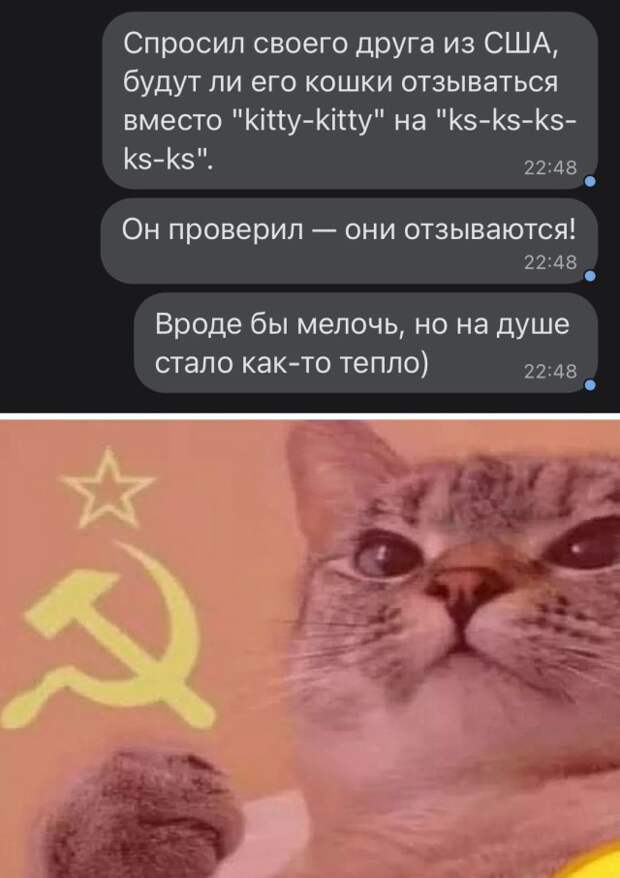 Смешные картинки 29 октября 2021 года