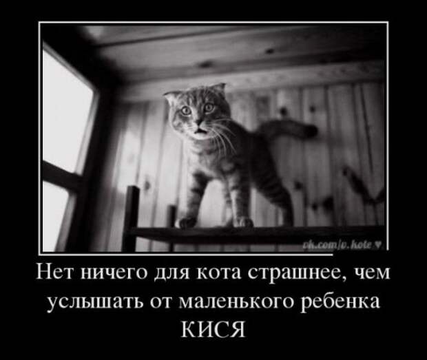 Немного новых демотиваторов