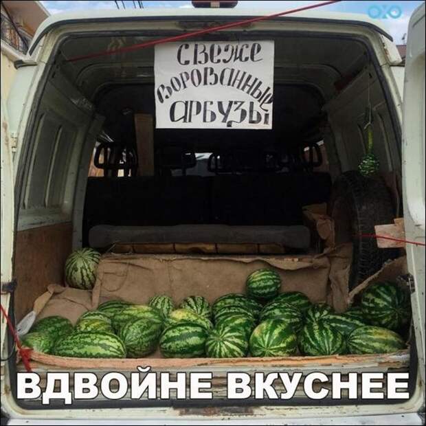 Смешная галерея фотоприколов # 133