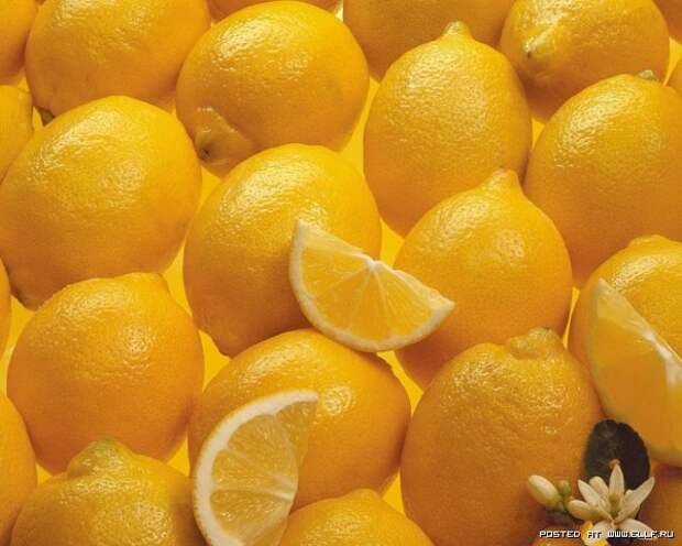 Интересные факты о лимоне (12 фото)