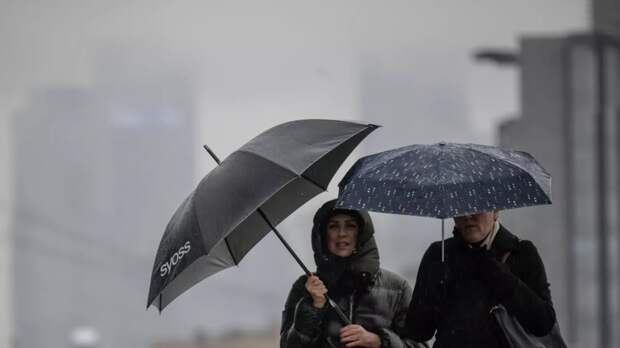 Синоптик Леус спрогнозировал кратковременные дожди в Москве