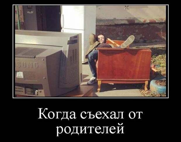 Демотиваторы (30 фото)