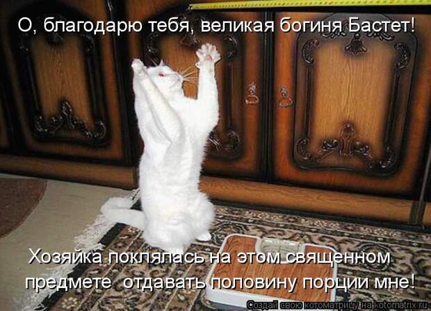Котоматрица - О, благодарю тебя, великая богиня Бастет! Хозяйка поклялась на этом св