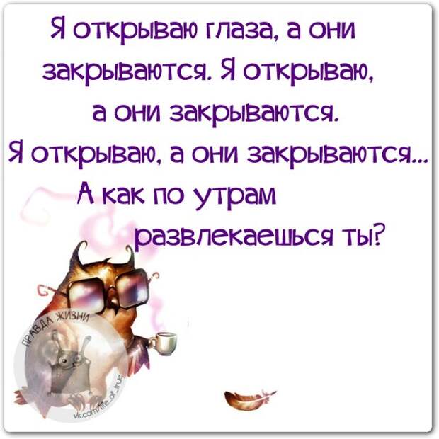 А как по утрам развлекаешься ты?