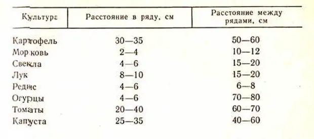 Схема посадки моркови в открытом