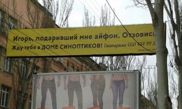 В поисках второй половинки (22 фото)