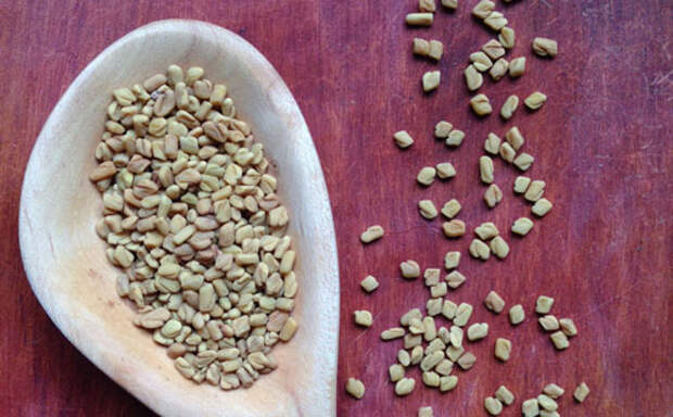 Fenugreek Seed