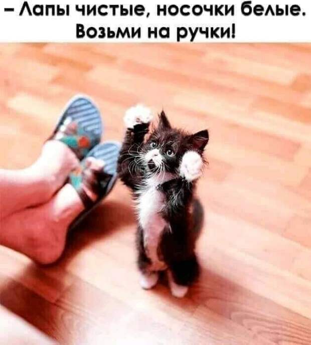 Доброе фото" Милая, ты услышь меня..."