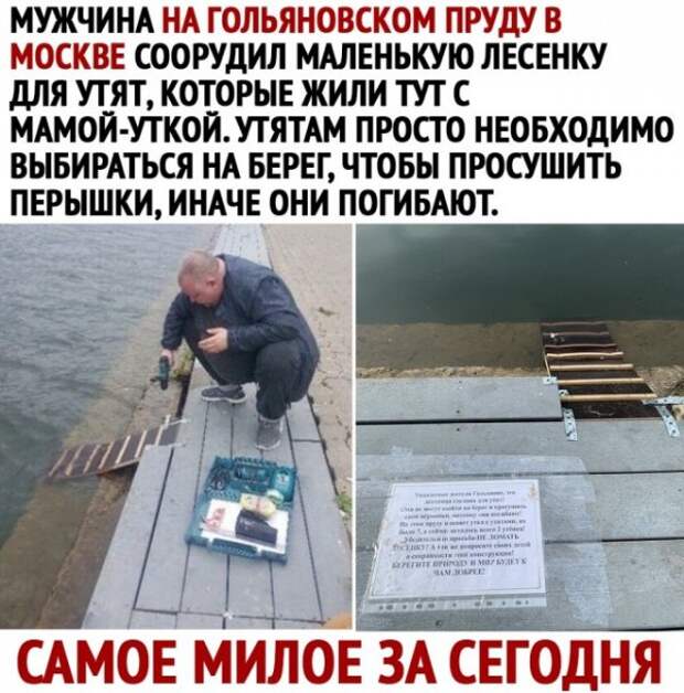 Так себе картинки