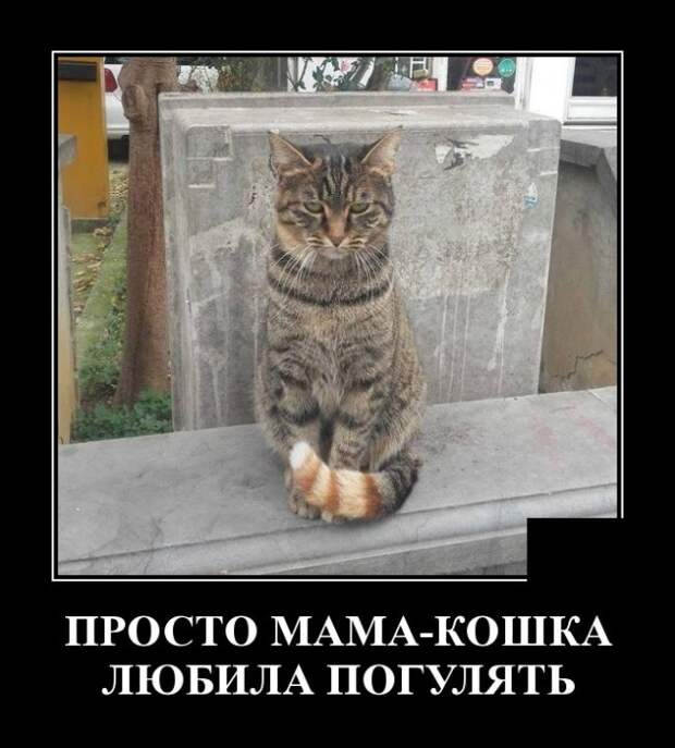 Демотиваторы (20 фото)