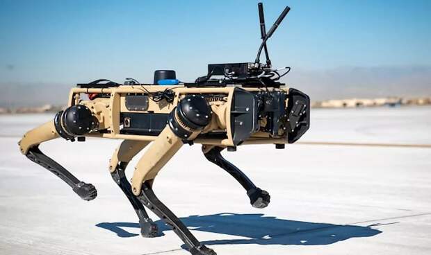 roboty-pogranichniki (660x392, 44Kb)