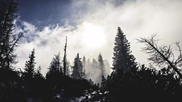 Фото: pixabay.com