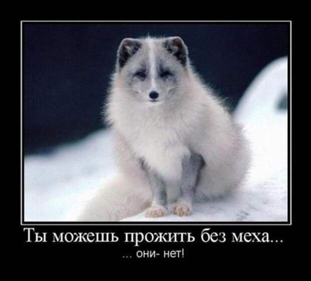 Демотиваторы со смыслом 19.04.11.