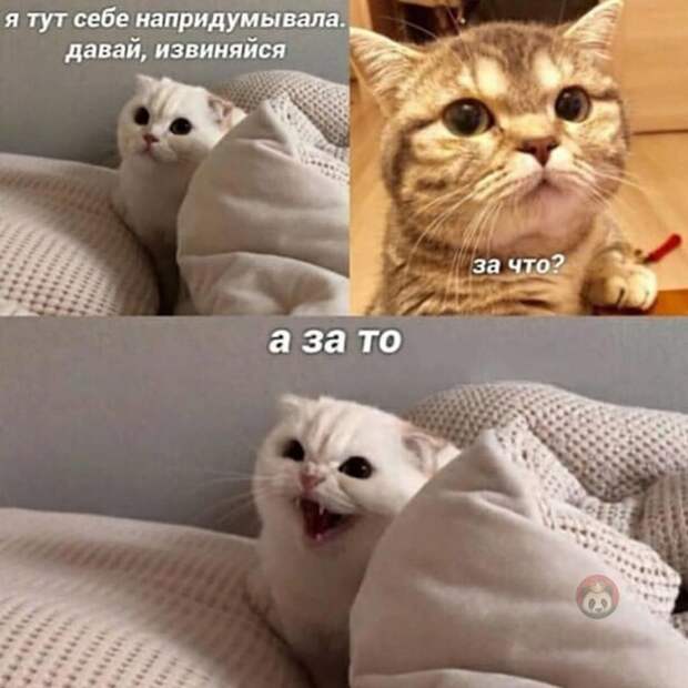 А за то А за то