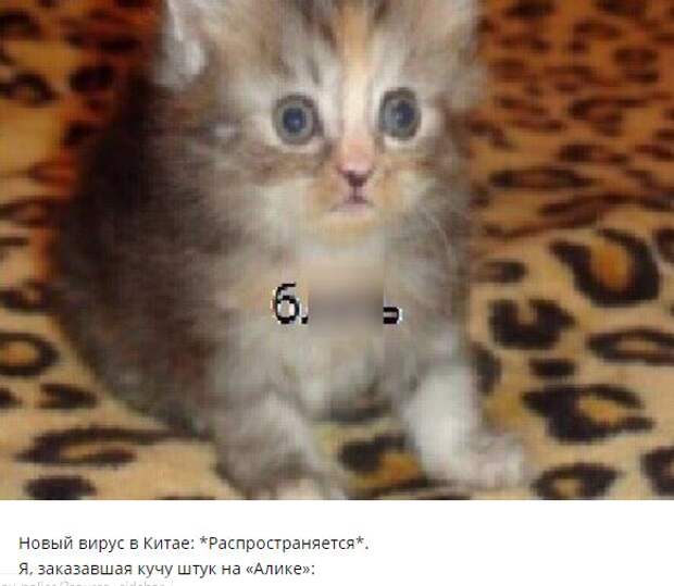 10 отчаянных мемов про коронавирус в Китае
