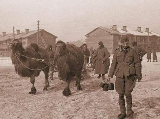 Моменты Великой Отечественной Войны война, история, фото
