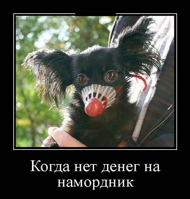 Демотиваторы (30 фото)