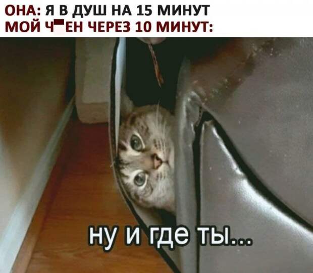 Мемы и приколы про отношения и &quot;кое-что еще&quot;