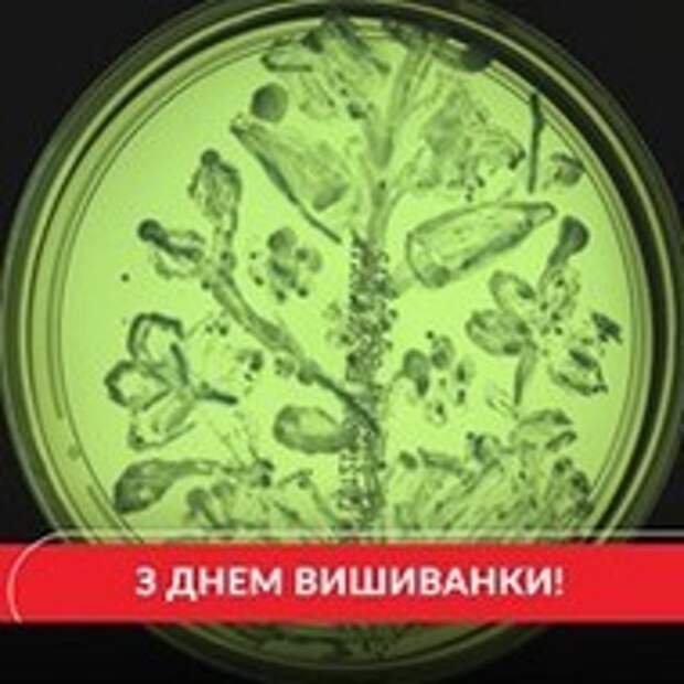 день вышиванки