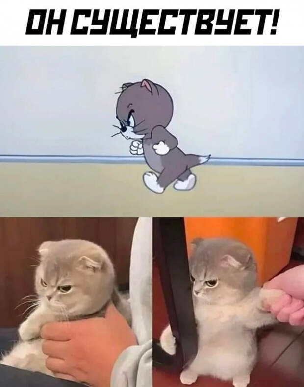 юмор