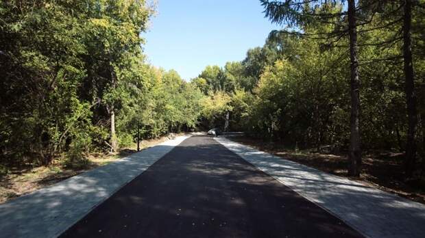 Ученый предложил высаживать деревья и газоны в Барнауле для борьбы с "потопами"