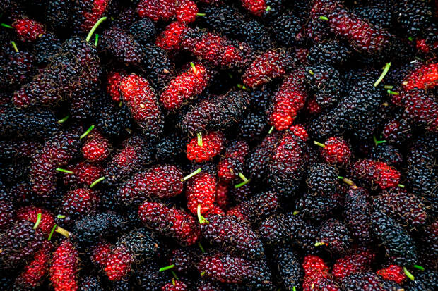 Названа эффективно снижающая уровень холестерина ягода