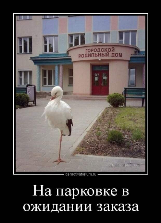 Демотиваторы-приколы (16 шт)