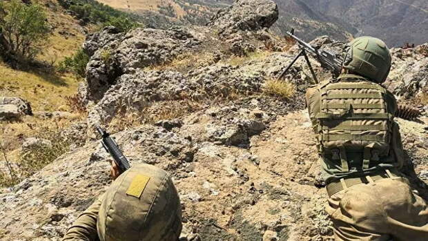 ЛАГ осудила военную операцию Турции в Ираке