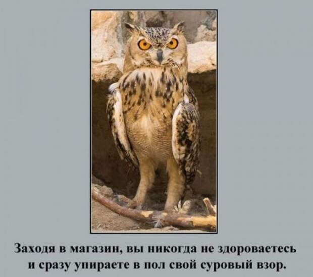 о русских туристах на отдыхе за границей :)