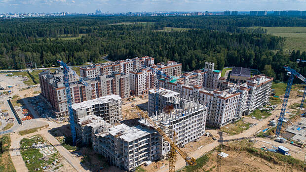 Урбанистическая катастрофа: Кто уничтожает леса в Подмосковье?