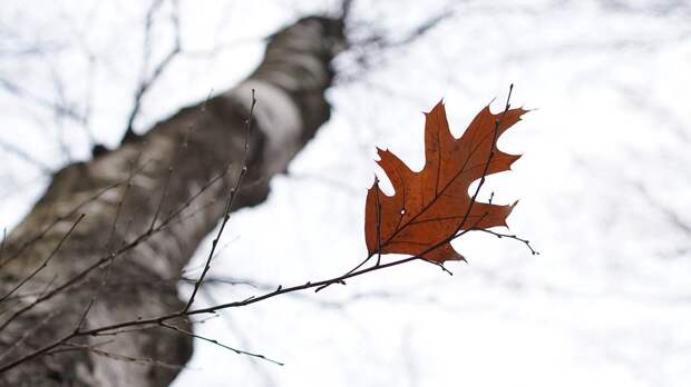 Место исчезновения семьи Усольцевых под Красноярском стало популярным у туристов