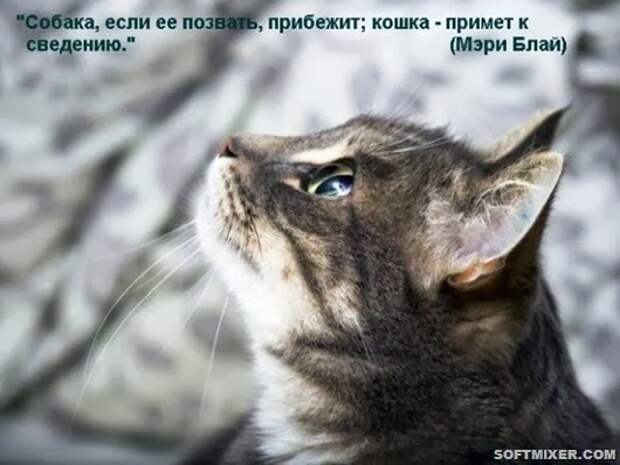 b_mainimg1321280466