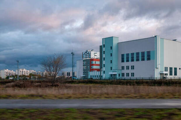 Учитель краснодарской школы назвал всех русских свиньями. Что с ним сделали?